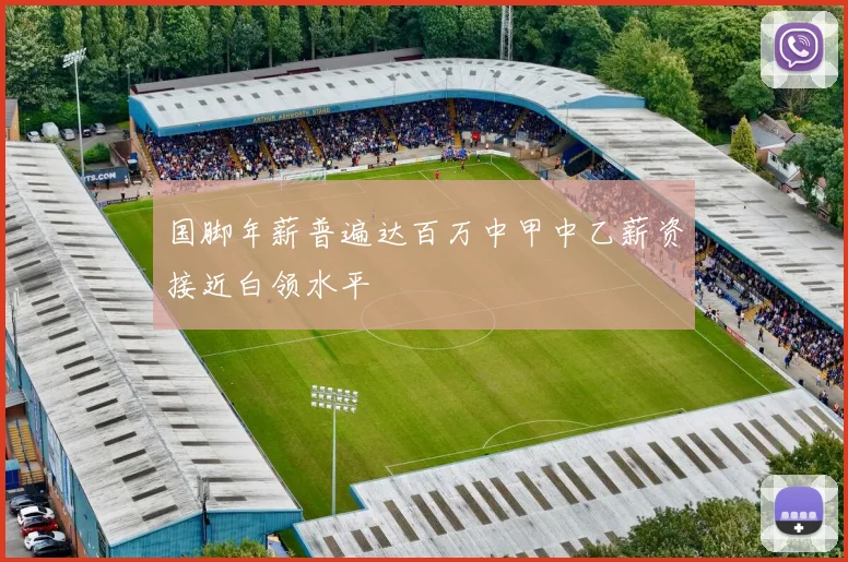 国脚年薪普遍达百万中甲中乙薪资接近白领水平